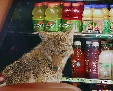 點擊進入看圖評論